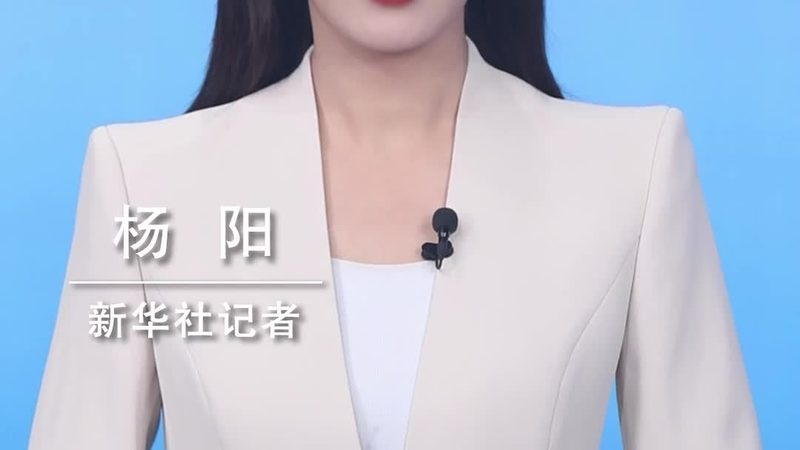 揭秘上海数据服务公司排名背后的考量因素